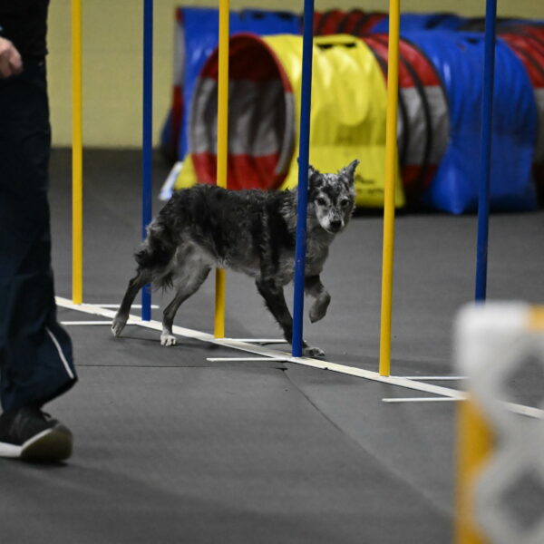 Bruce-Belebczuk-02360