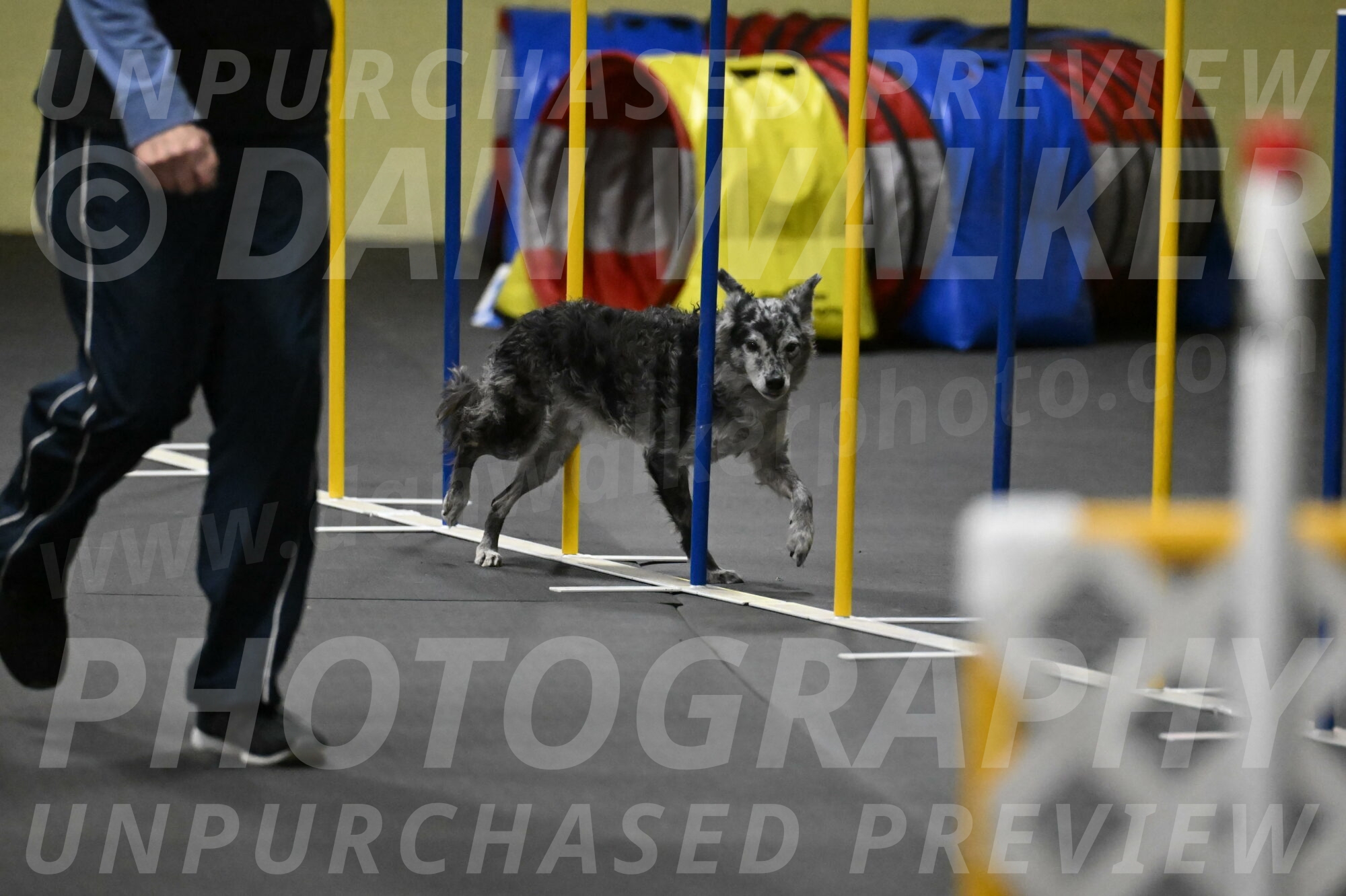 Bruce-Belebczuk-02361