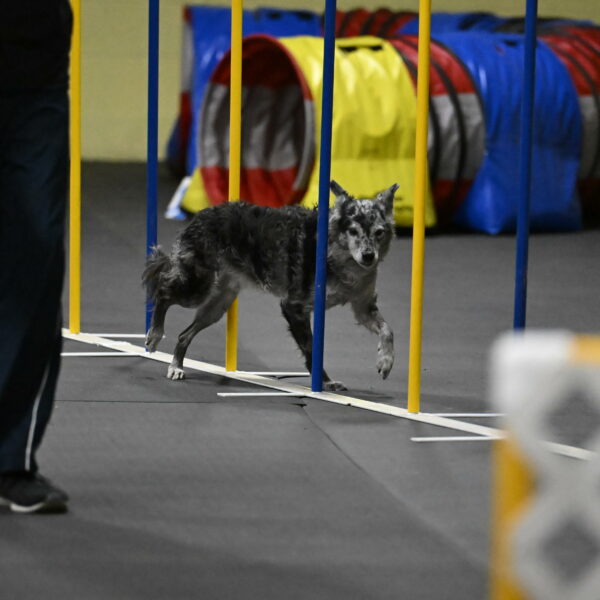 Bruce-Belebczuk-02361