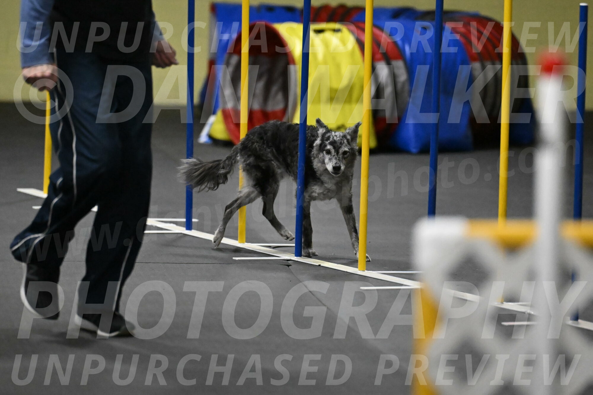 Bruce-Belebczuk-02362