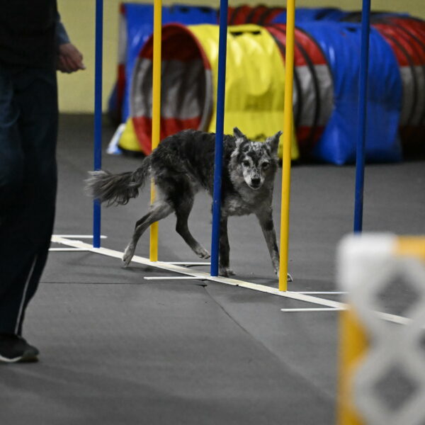 Bruce-Belebczuk-02362