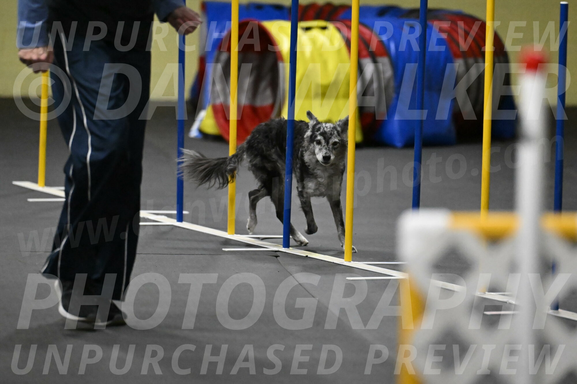 Bruce-Belebczuk-02363