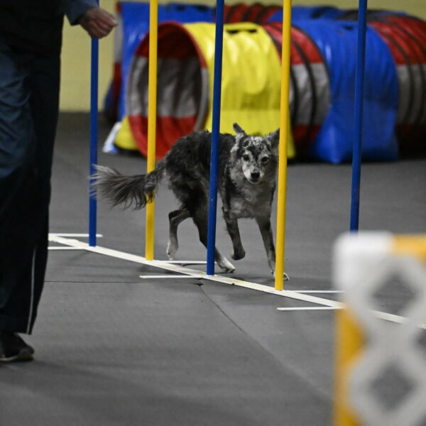 Bruce-Belebczuk-02363