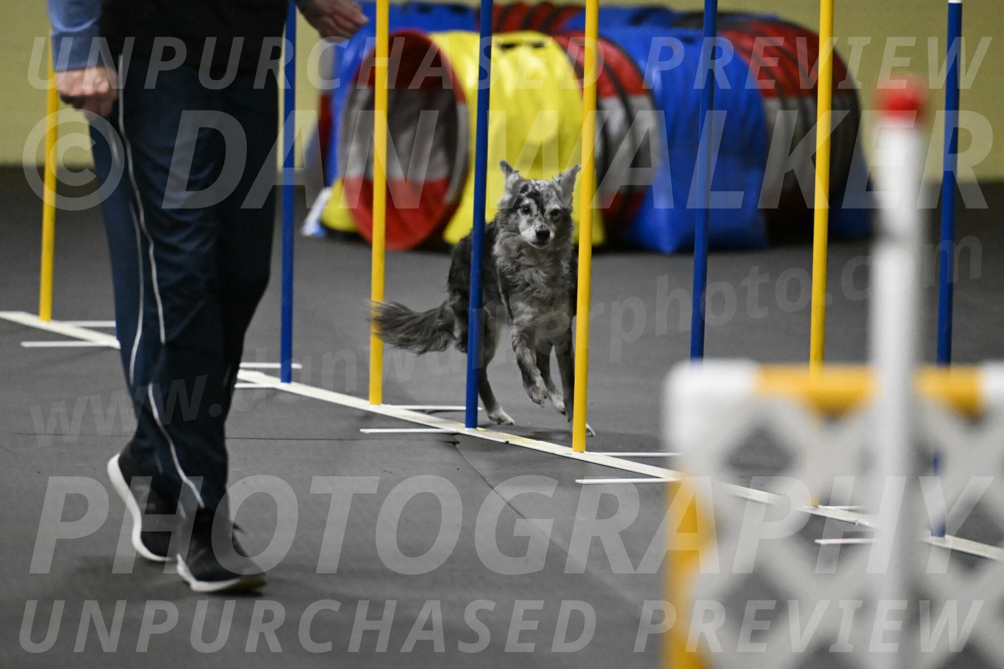 Bruce-Belebczuk-02364