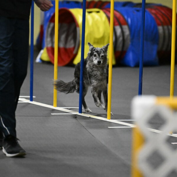 Bruce-Belebczuk-02364