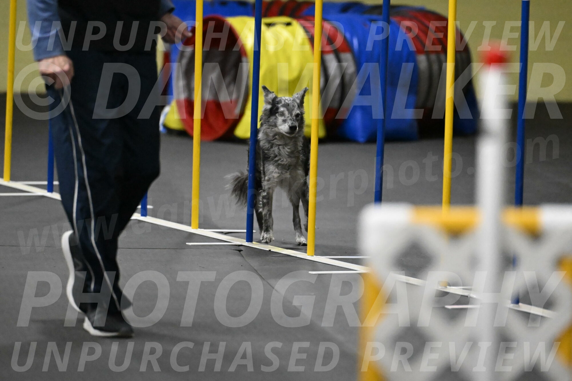 Bruce-Belebczuk-02365