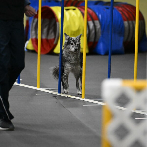 Bruce-Belebczuk-02365