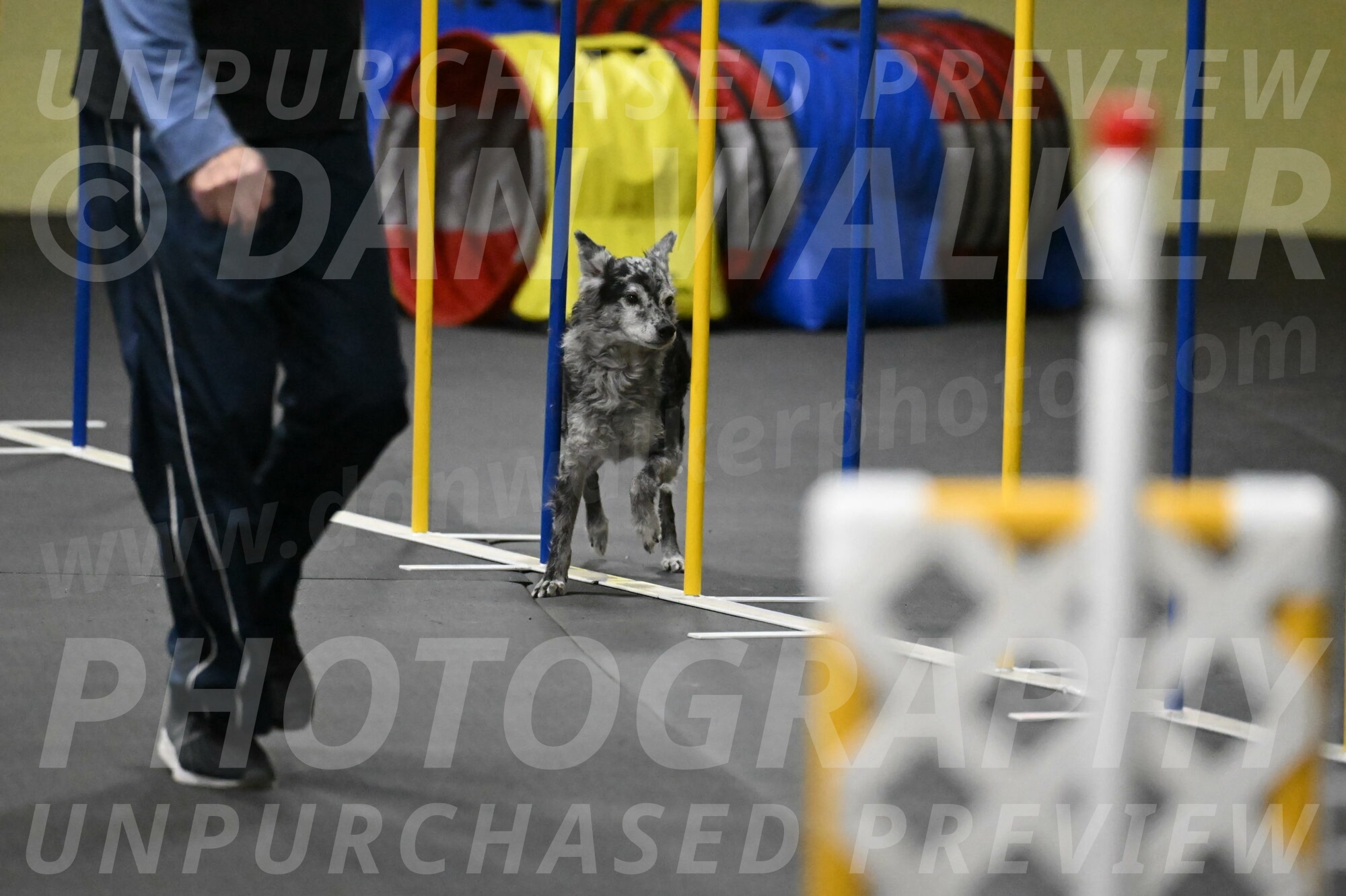 Bruce-Belebczuk-02366