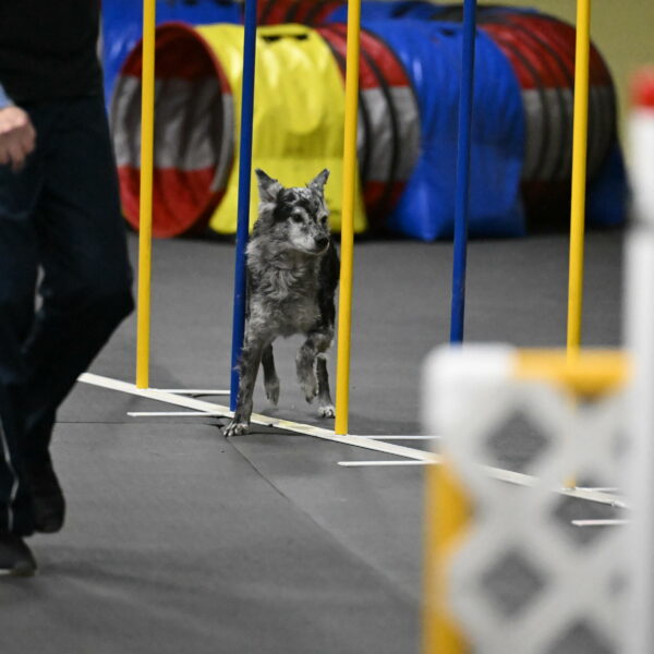 Bruce-Belebczuk-02366