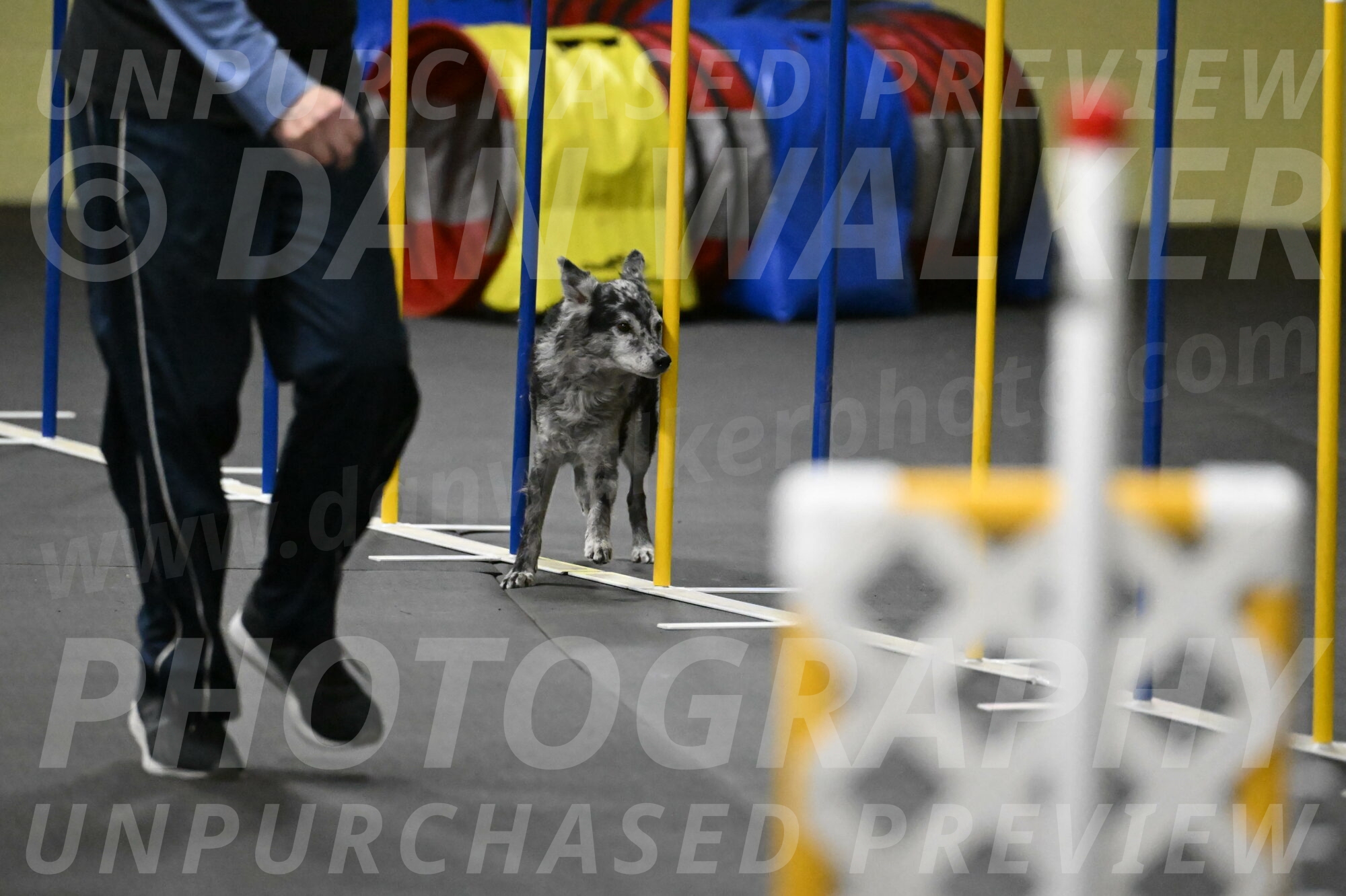 Bruce-Belebczuk-02367