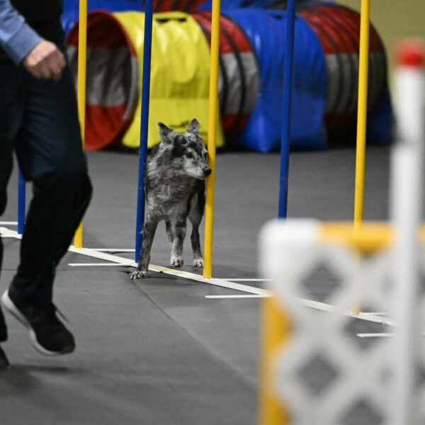 Bruce-Belebczuk-02367