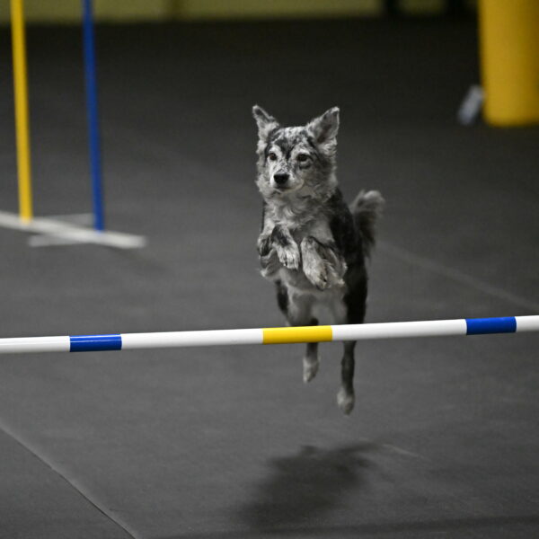 Bruce-Belebczuk-02374