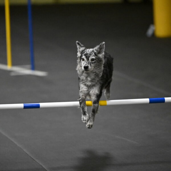 Bruce-Belebczuk-02376