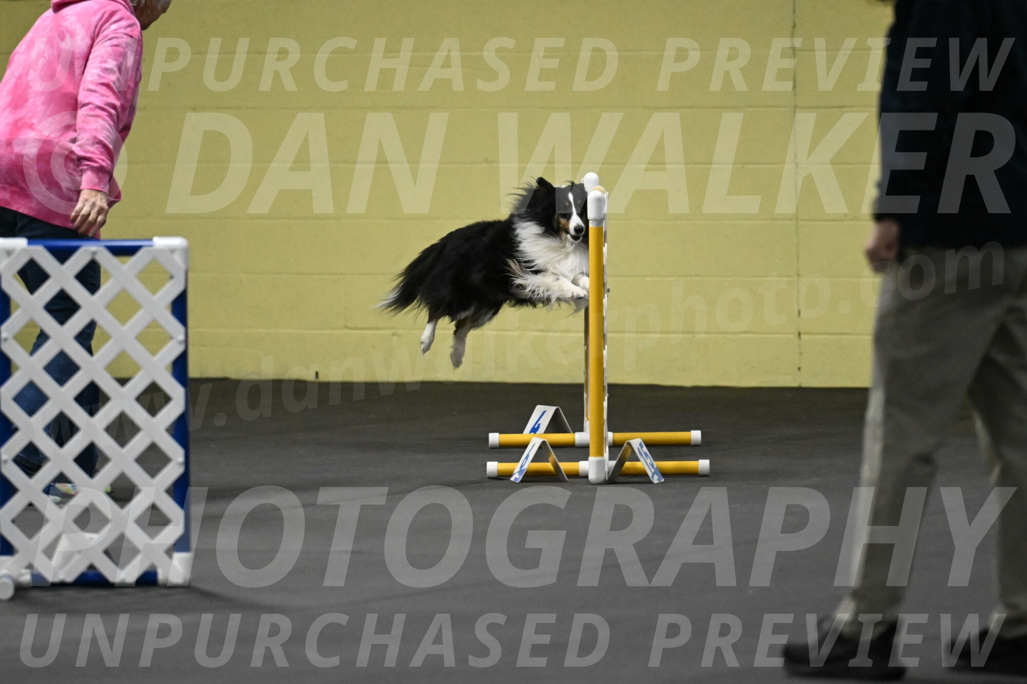 Cleo-Schmauder-02617