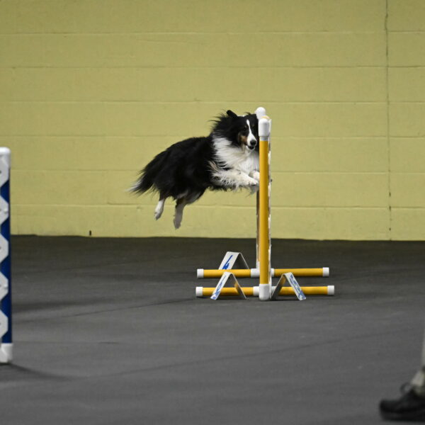 Cleo-Schmauder-02617