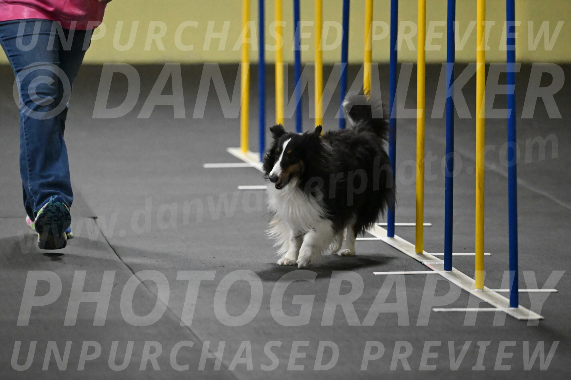 Cleo-Schmauder-02629