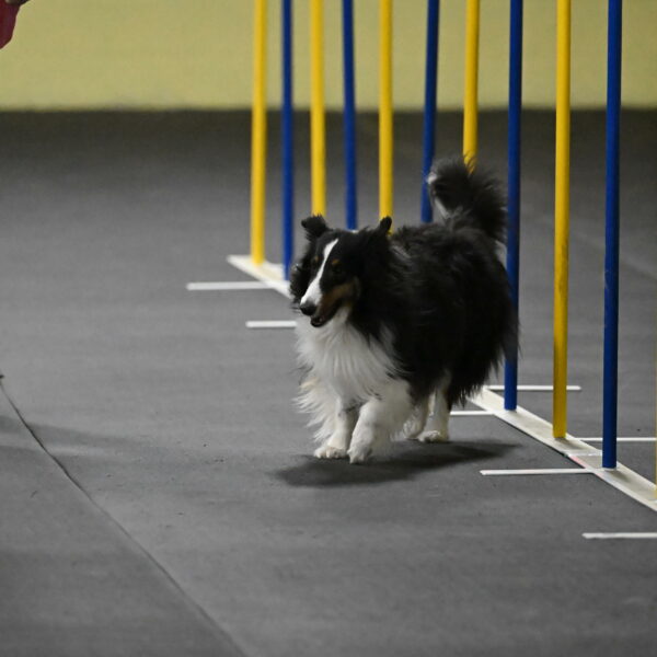 Cleo-Schmauder-02629