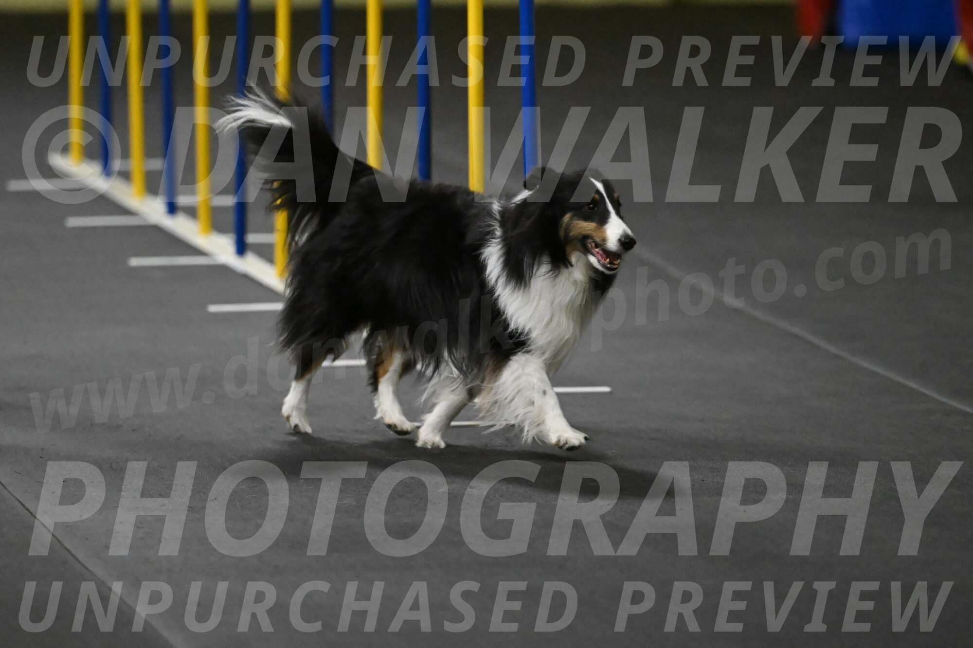 Cleo-Schmauder-02630