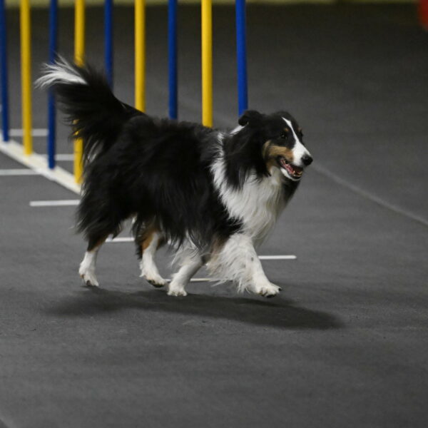 Cleo-Schmauder-02630