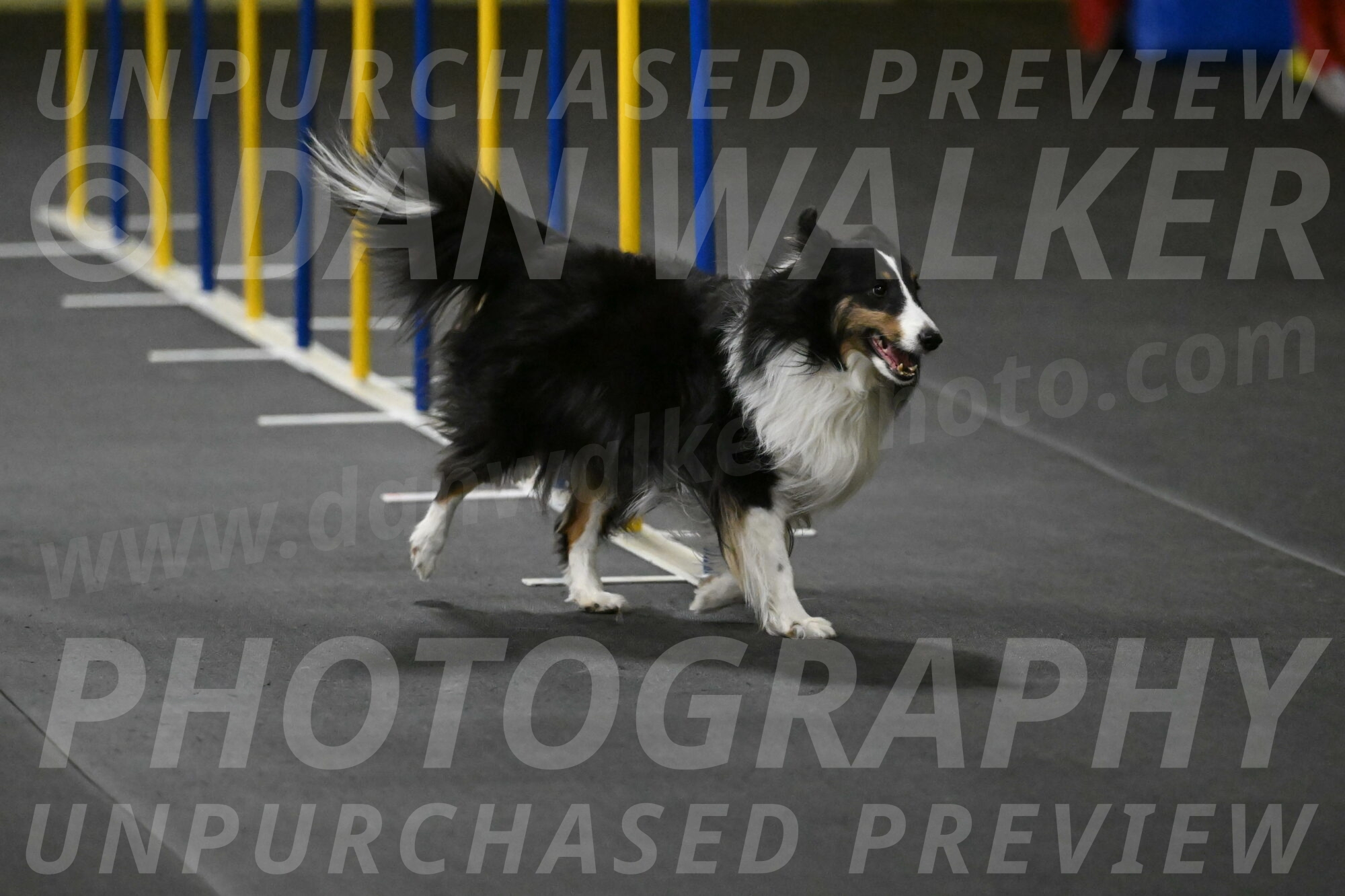 Cleo-Schmauder-02631