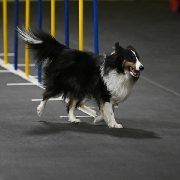 Cleo-Schmauder-02631