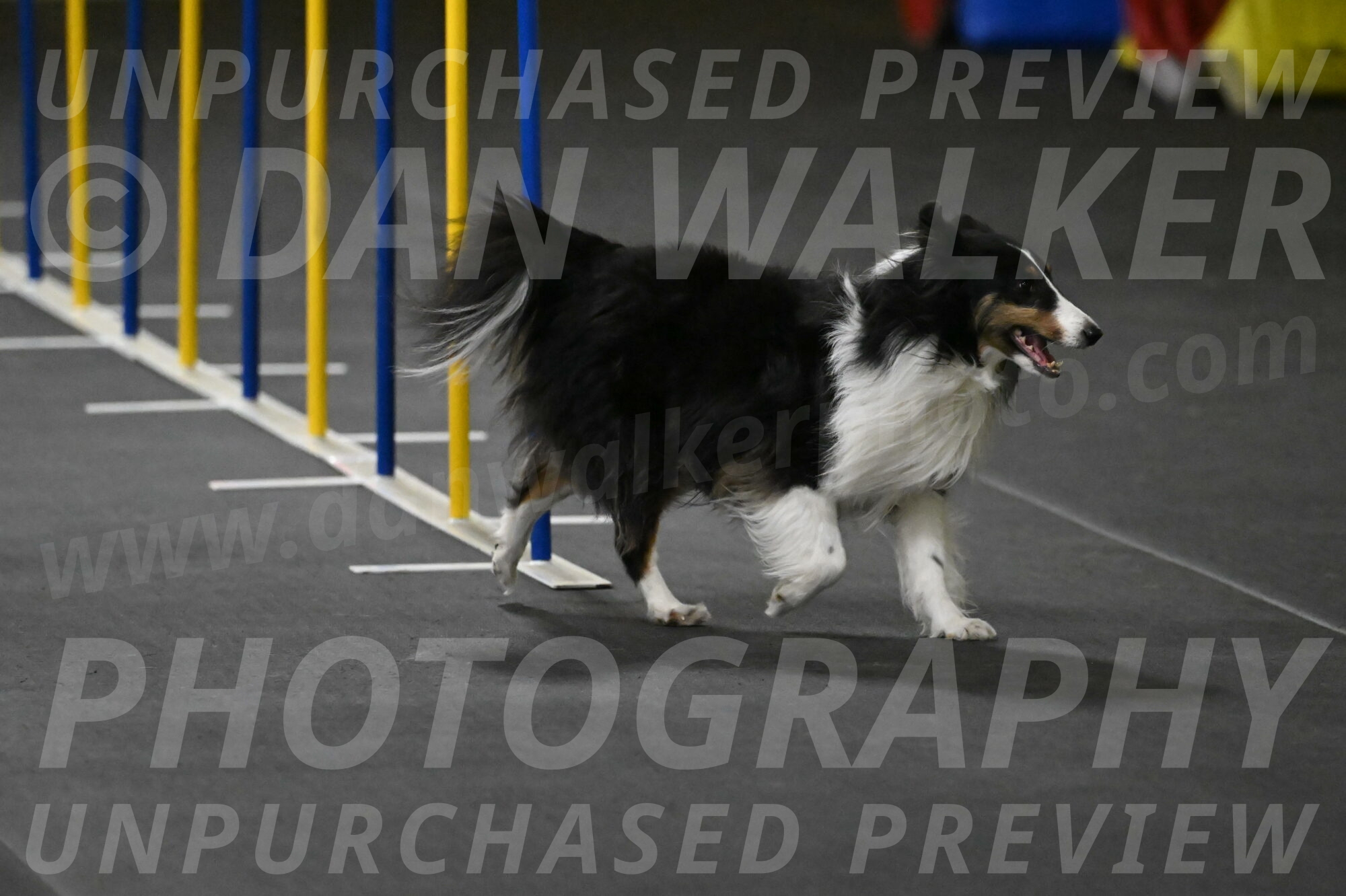 Cleo-Schmauder-02633