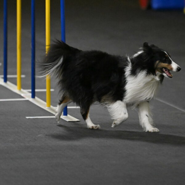 Cleo-Schmauder-02633