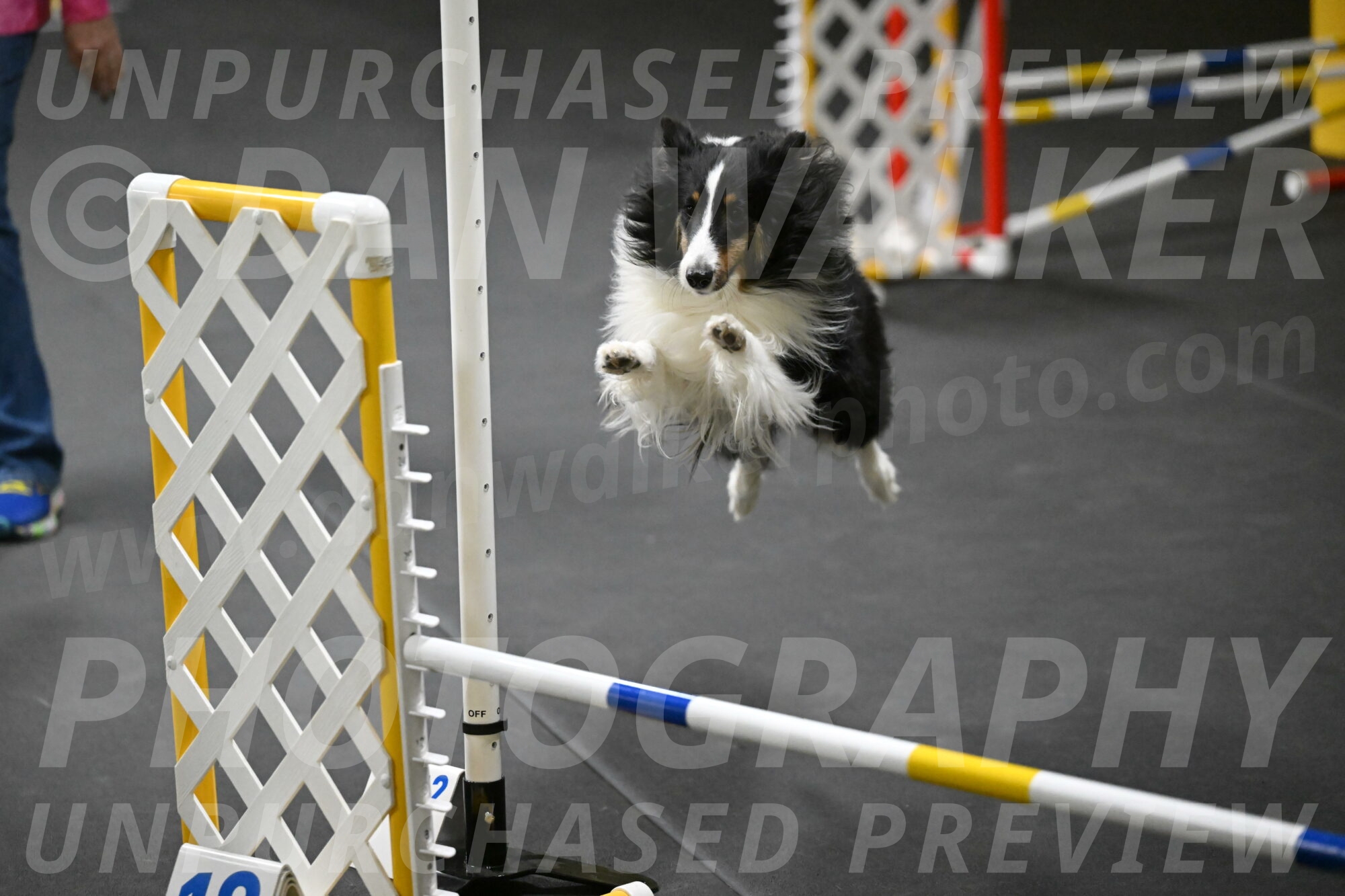 Cleo-Schmauder-02636