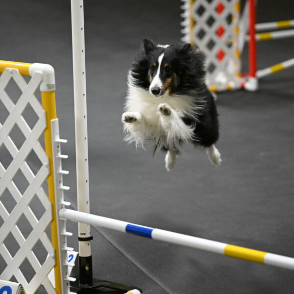 Cleo-Schmauder-02636