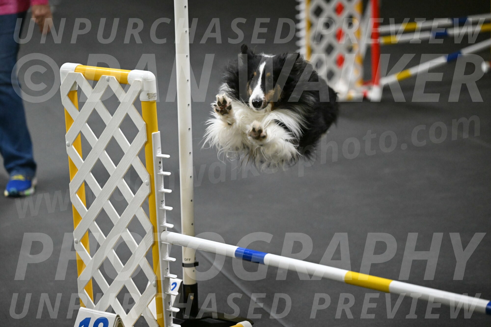 Cleo-Schmauder-02637