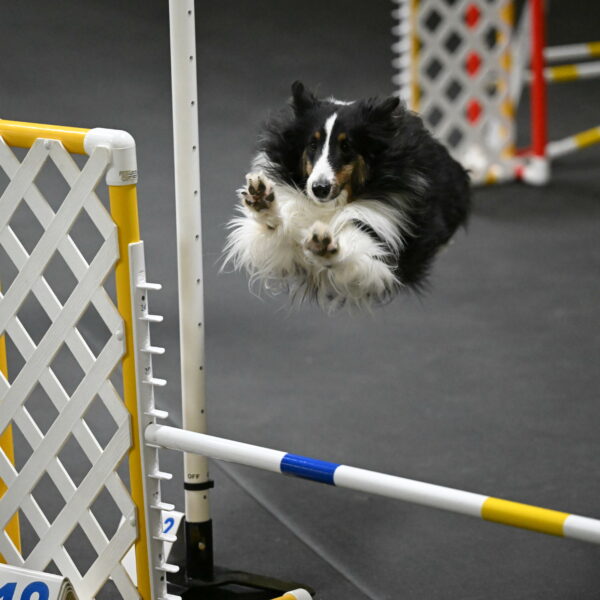 Cleo-Schmauder-02637