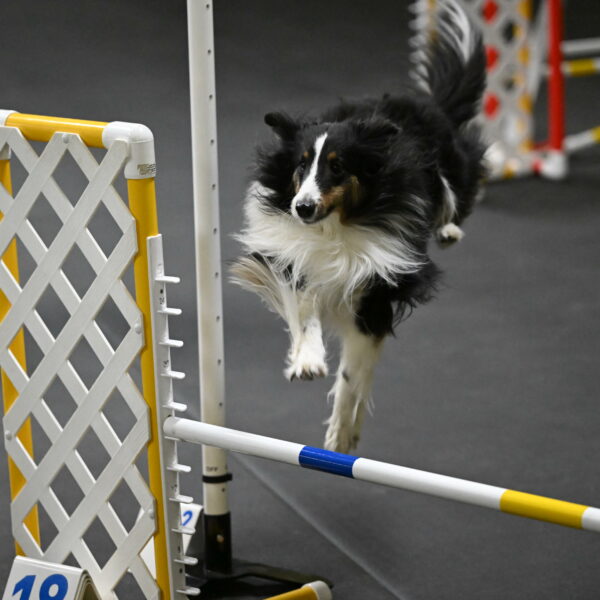 Cleo-Schmauder-02638