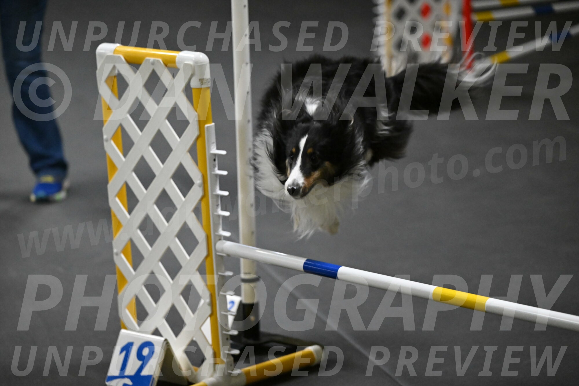 Cleo-Schmauder-02639