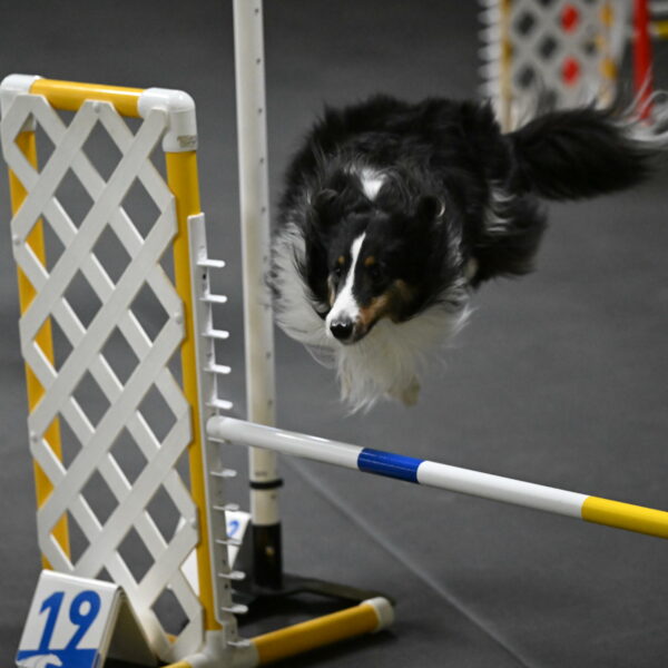 Cleo-Schmauder-02639