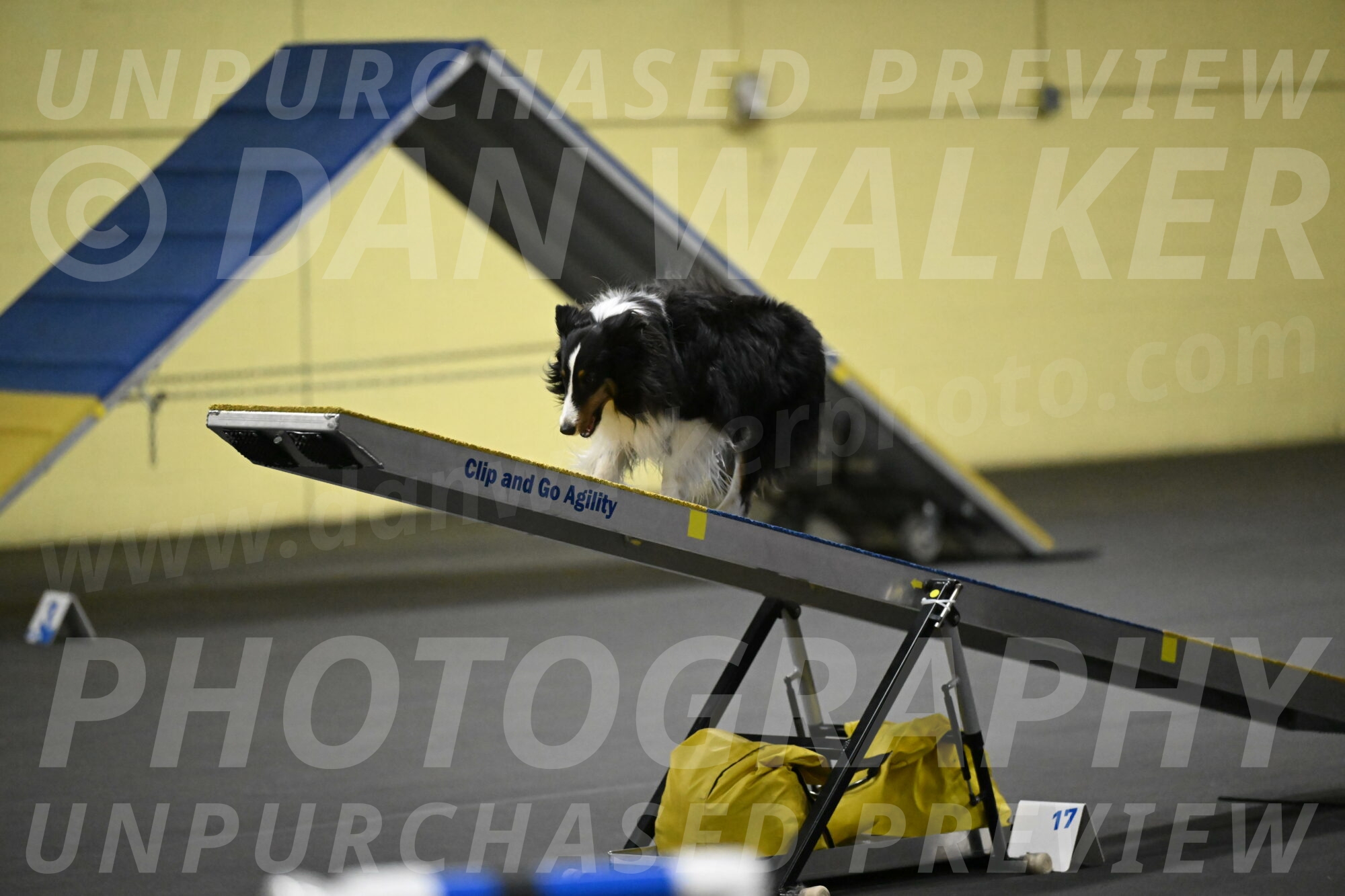 Cleo-Schmauder-02640