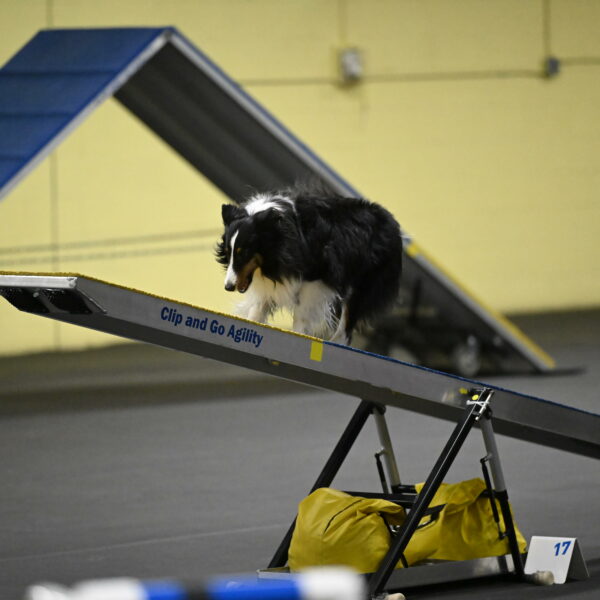 Cleo-Schmauder-02640