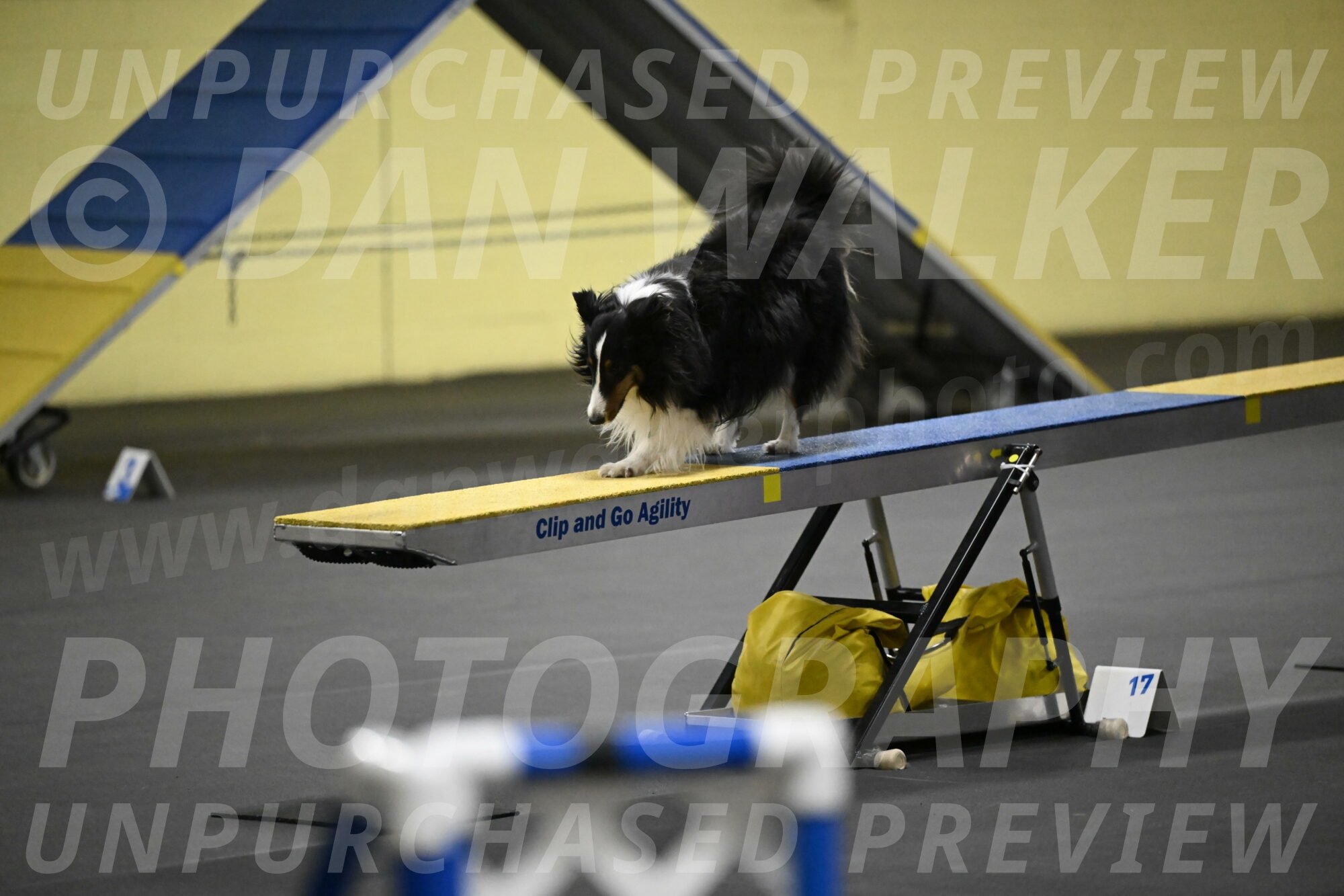 Cleo-Schmauder-02644