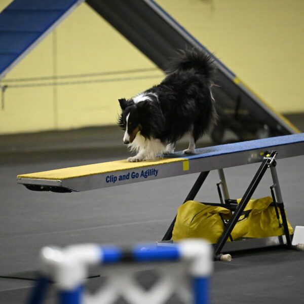 Cleo-Schmauder-02644