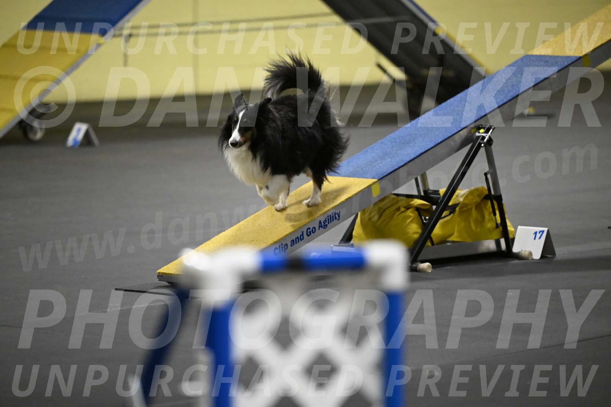 Cleo-Schmauder-02648