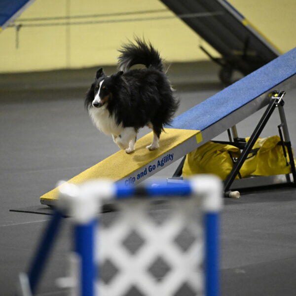 Cleo-Schmauder-02648