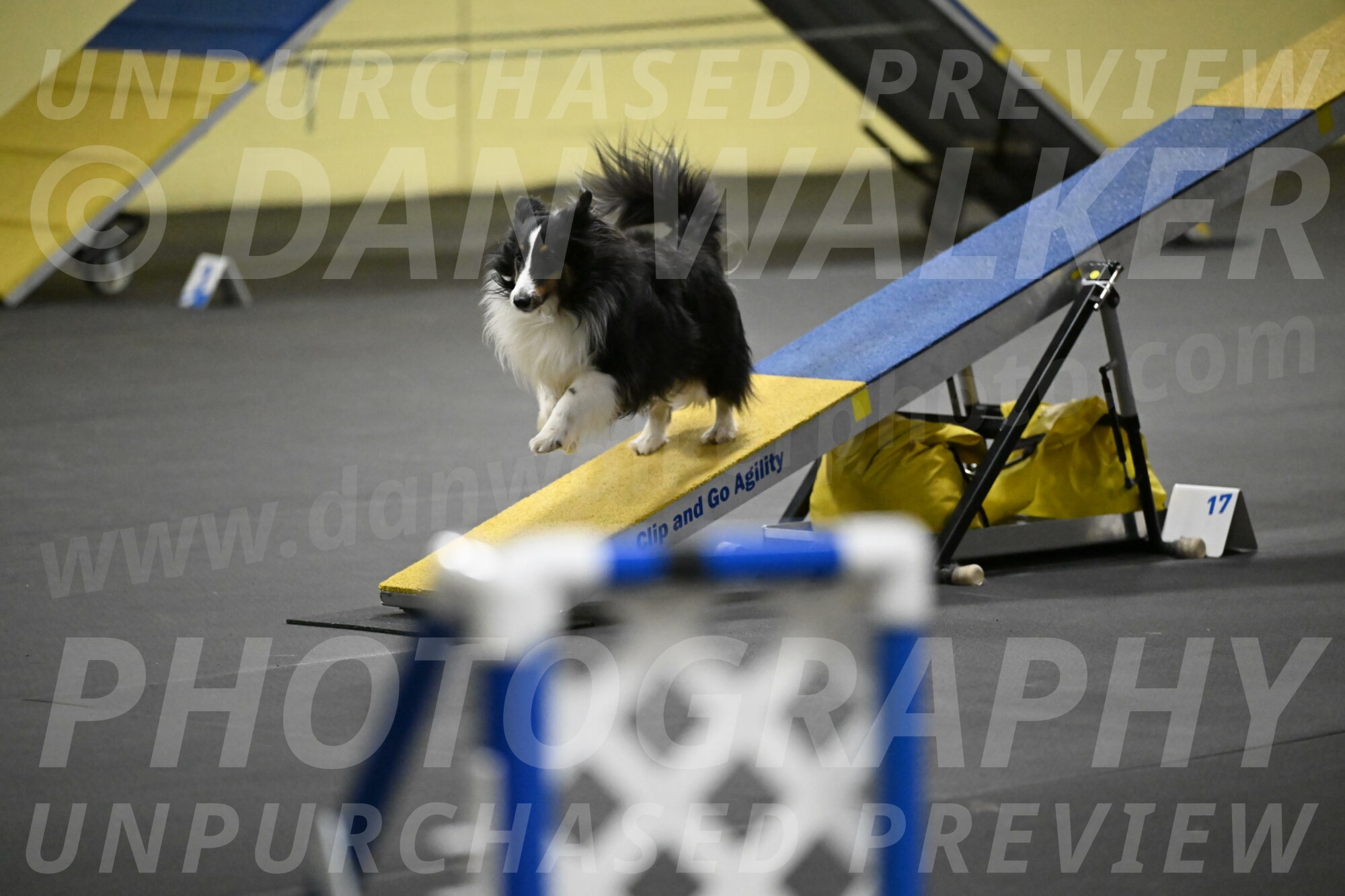 Cleo-Schmauder-02649