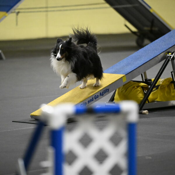 Cleo-Schmauder-02649