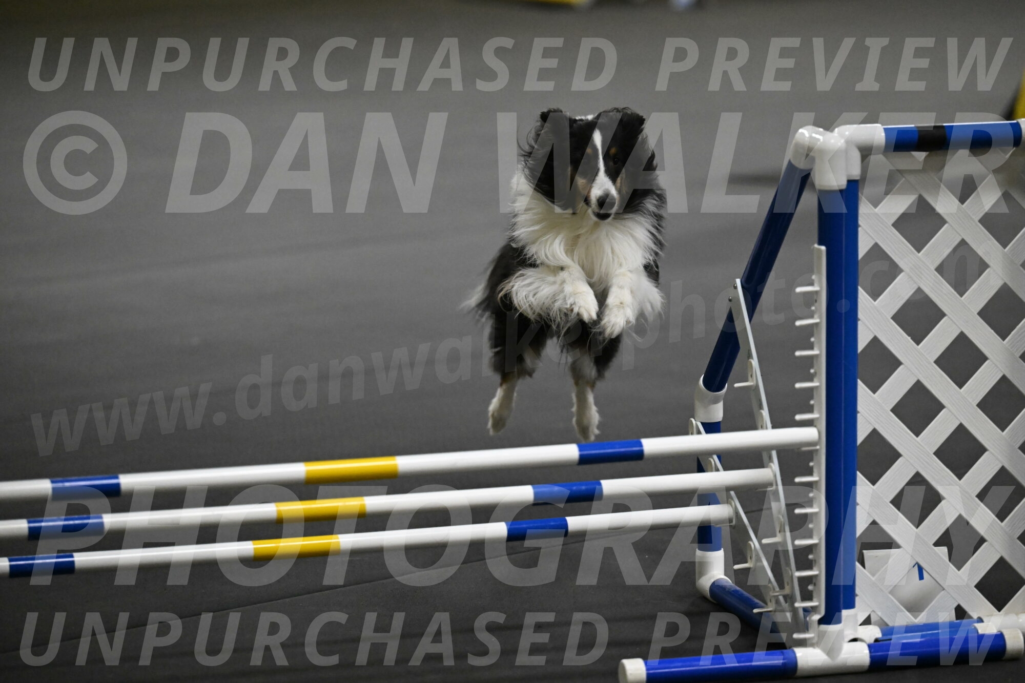 Cleo-Schmauder-02650