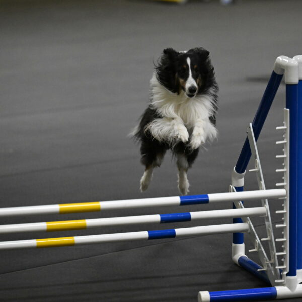 Cleo-Schmauder-02650