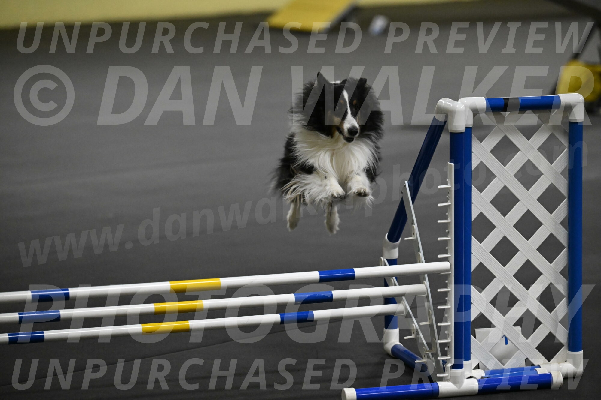 Cleo-Schmauder-02651