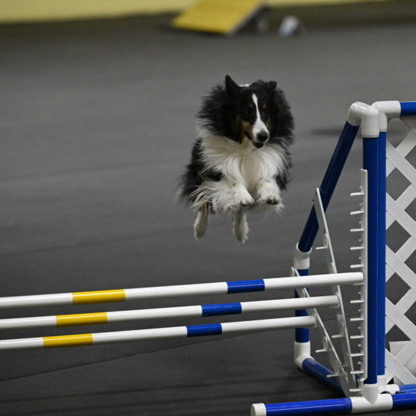 Cleo-Schmauder-02651