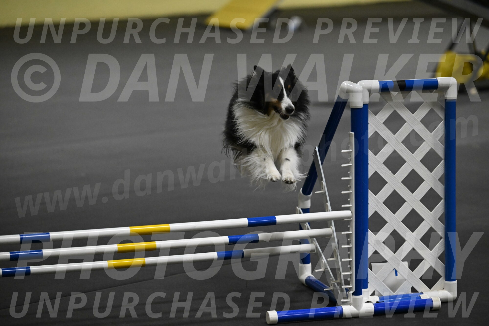 Cleo-Schmauder-02652