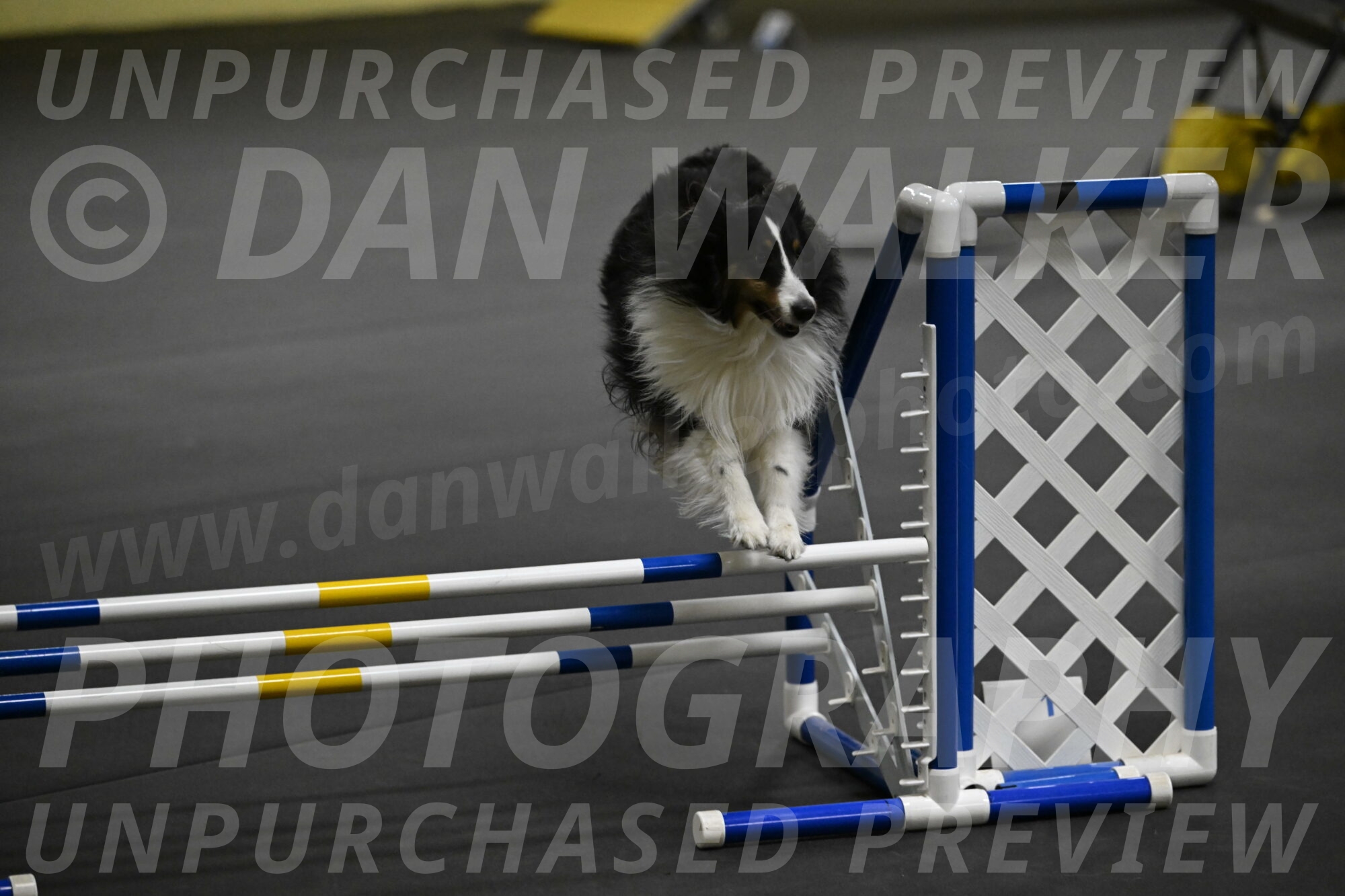 Cleo-Schmauder-02653