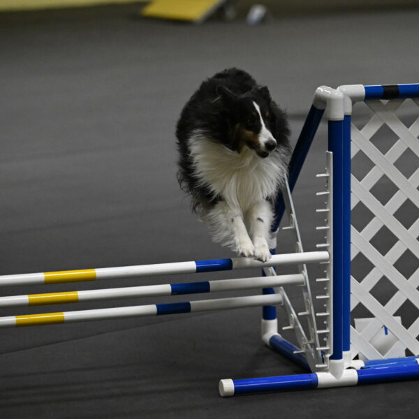 Cleo-Schmauder-02653