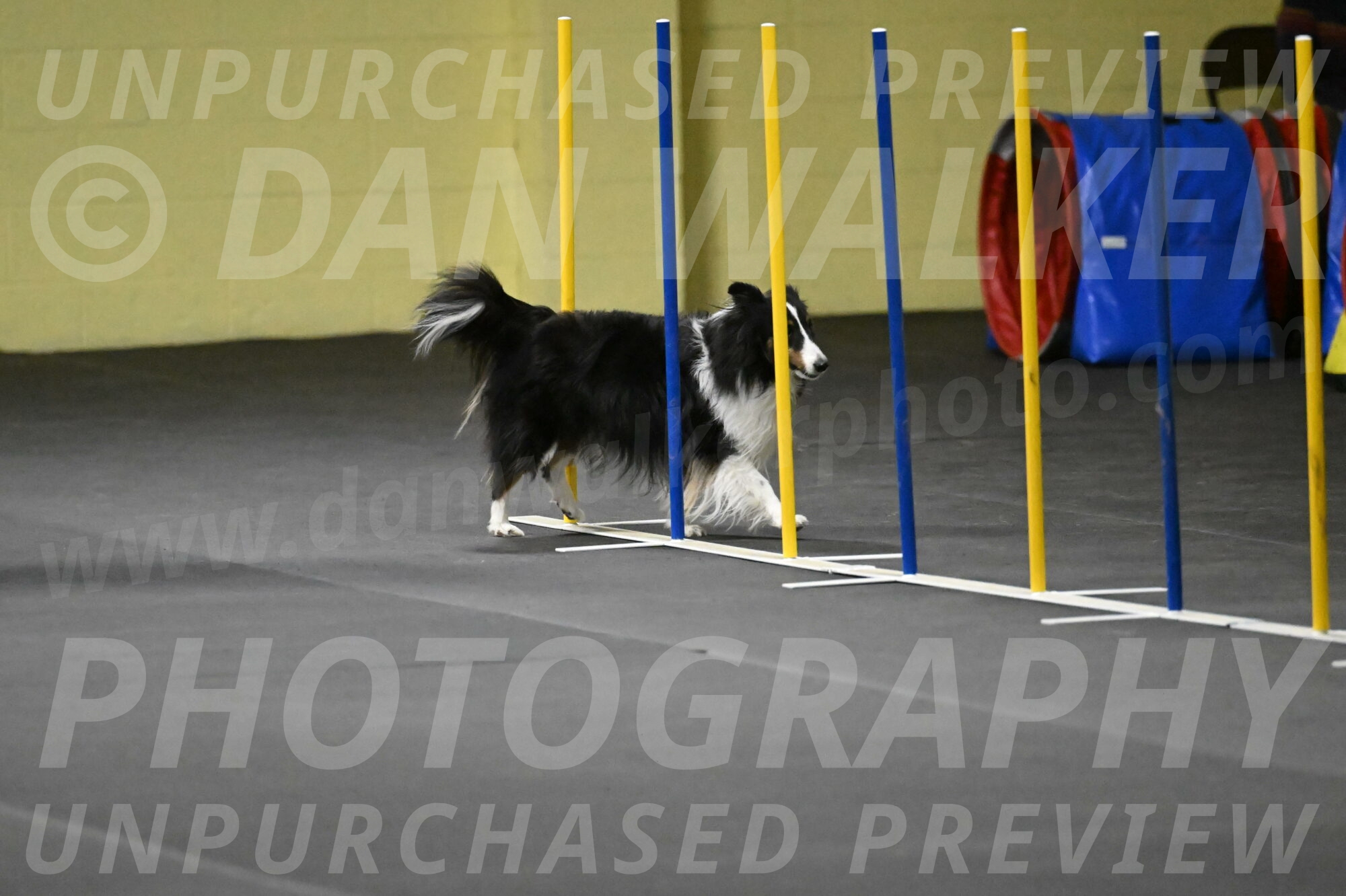 Cleo-Schmauder-02657